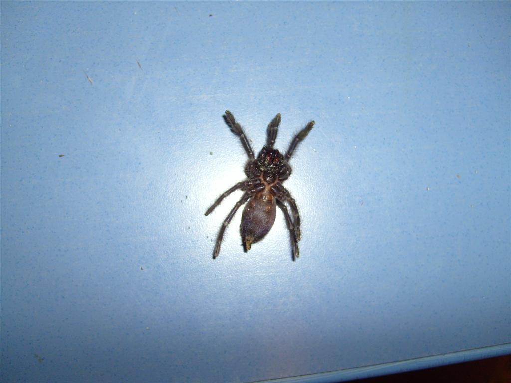 S7000254 (Large).JPG