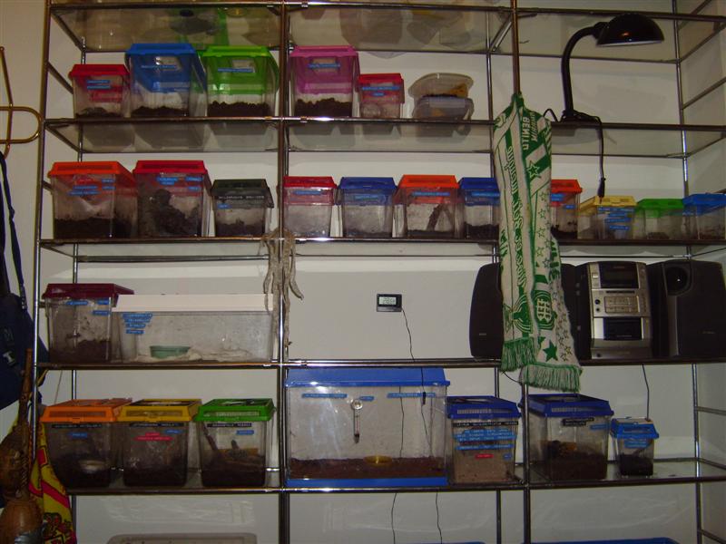 S7000294 (Medium).JPG