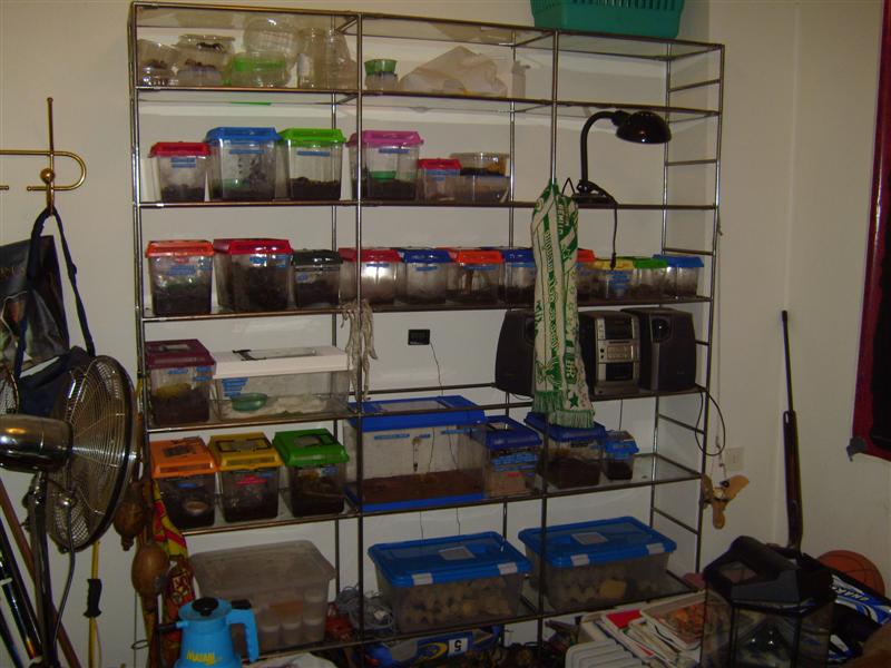 S7000295 (Medium).JPG