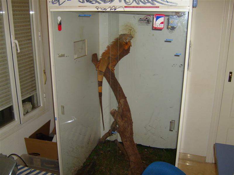 S7000296 (Medium).JPG