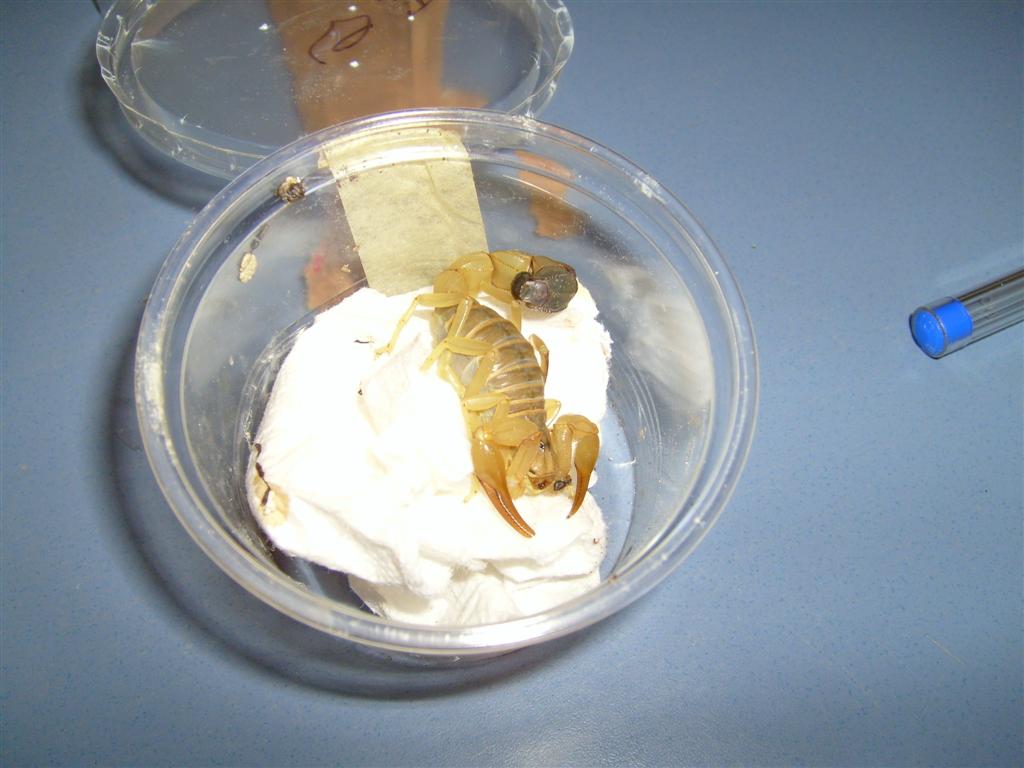 S7000317 (Large).JPG