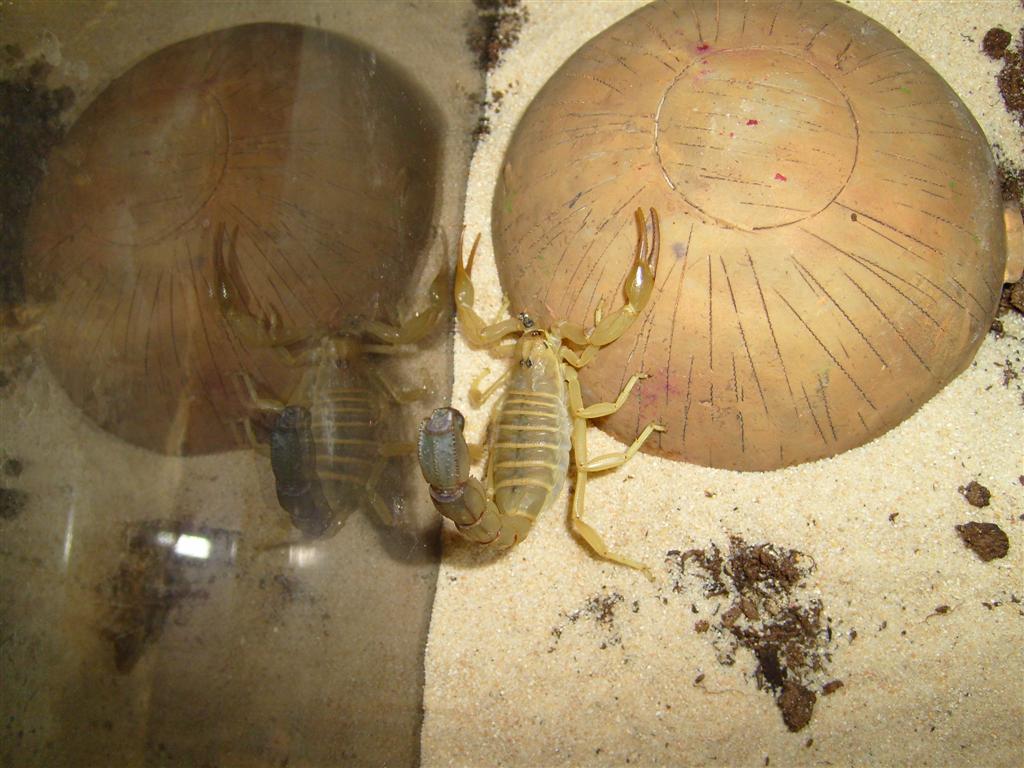 S7000326 (Large).JPG