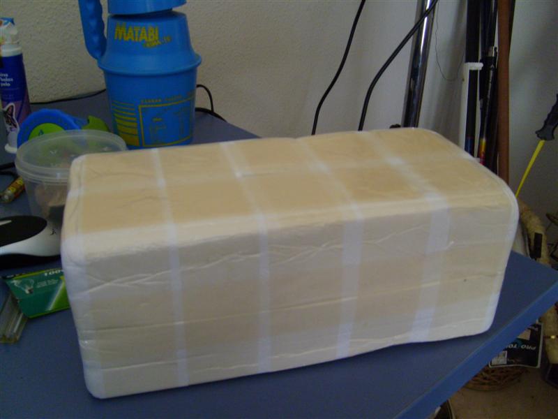 S7000341 (Medium).JPG