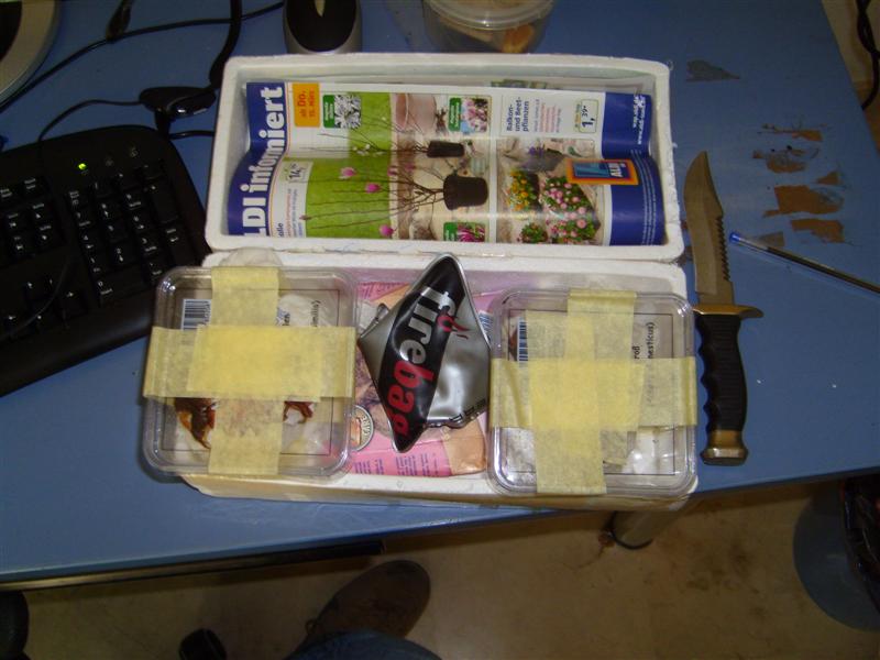 S7000342 (Medium).JPG