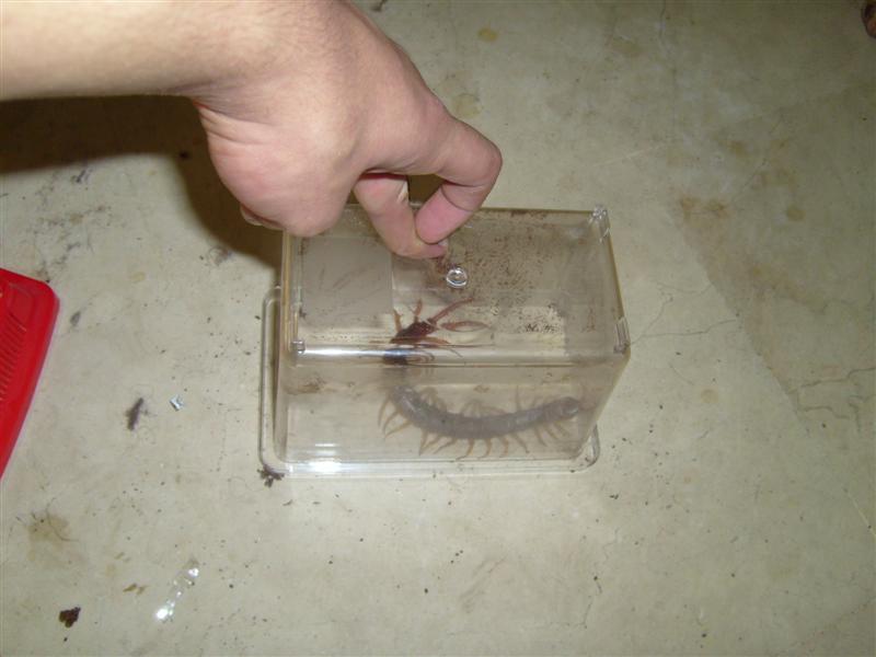 S7000345 (Medium).JPG