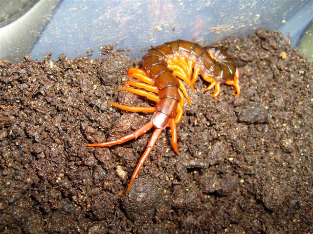 S7000369 (Small).JPG