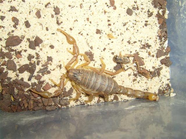 S7000631 (Medium) (Small).JPG