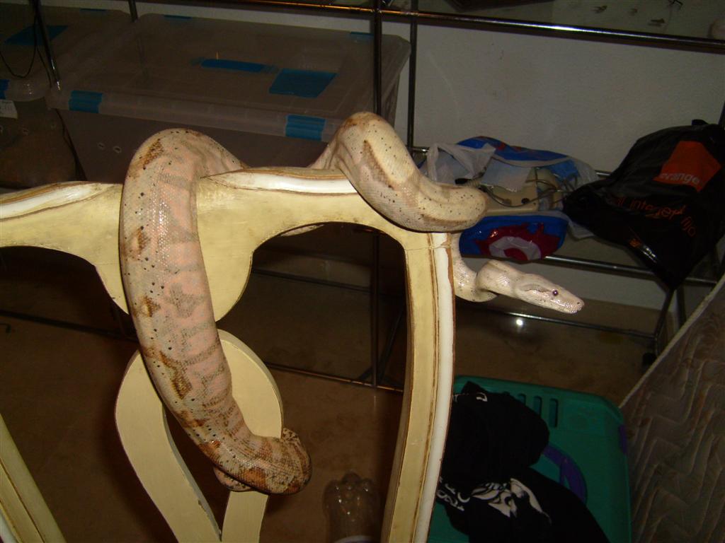 S7000874 (Large).JPG