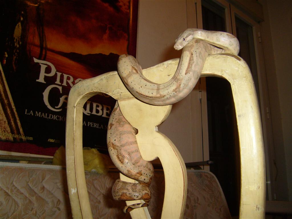 S7000879 (Large).JPG