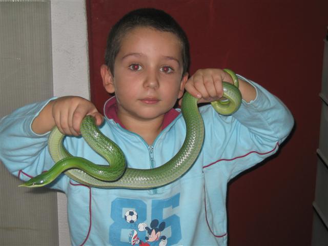 Samuel con Rhynchophis 003 (Small).jpg