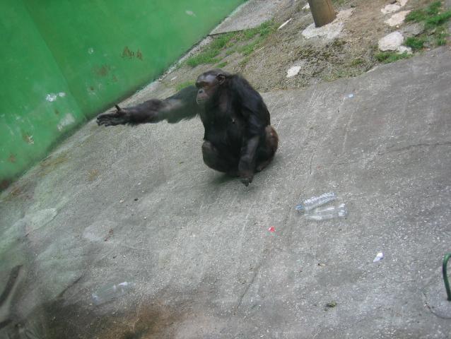 santillana del mar 048.jpg