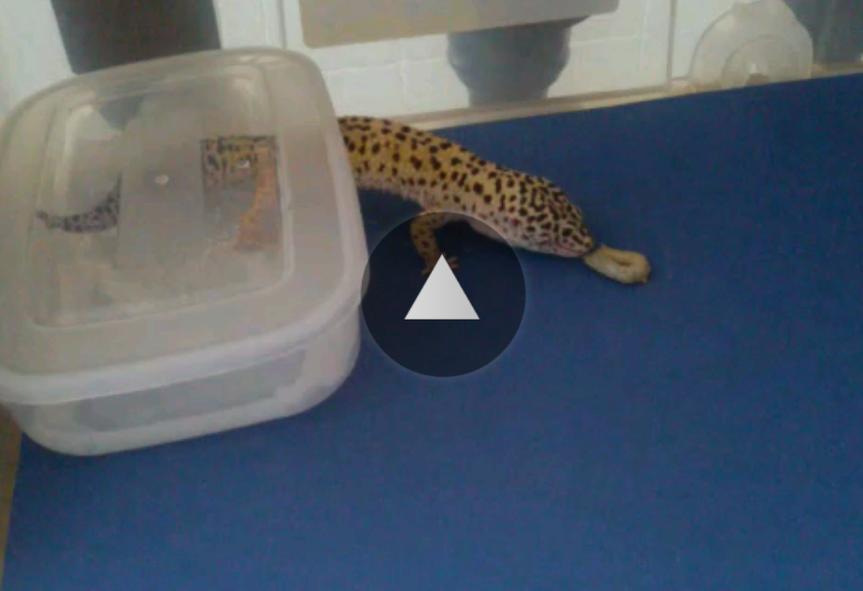 Screenshot 2015 05 10 03 45 21