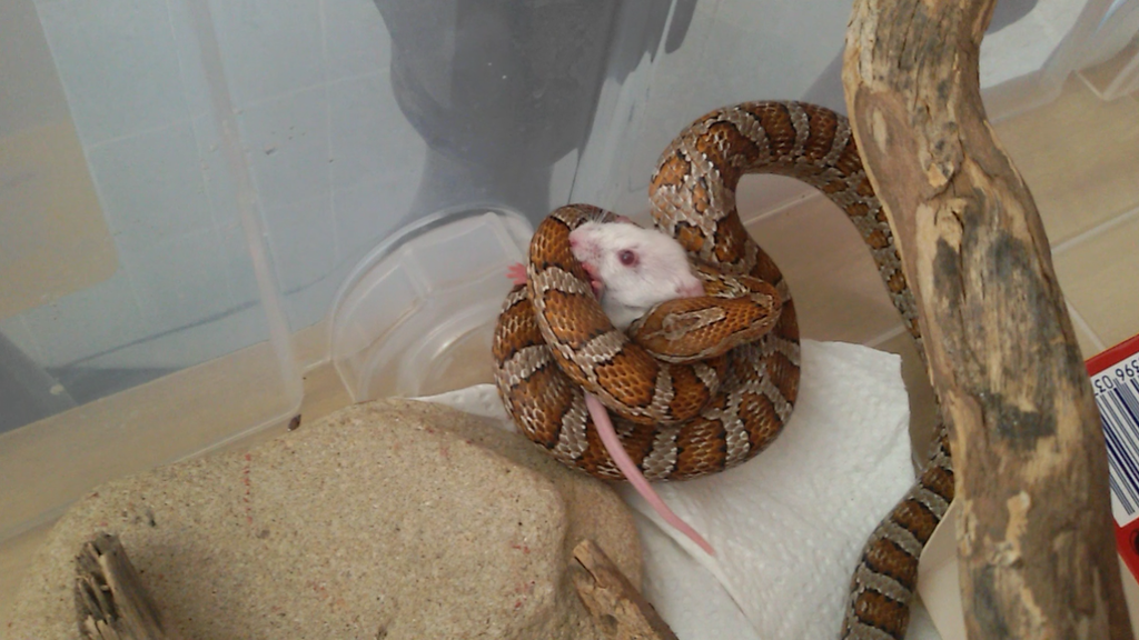 Screenshot 2015 05 21 12 40 32