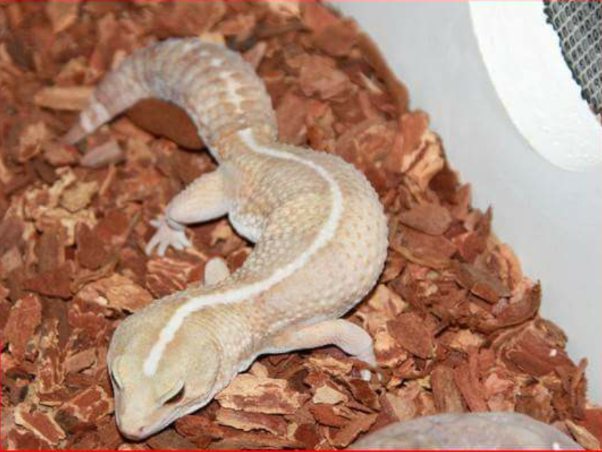 Screenshot_2016-05-30-23-39-18-1