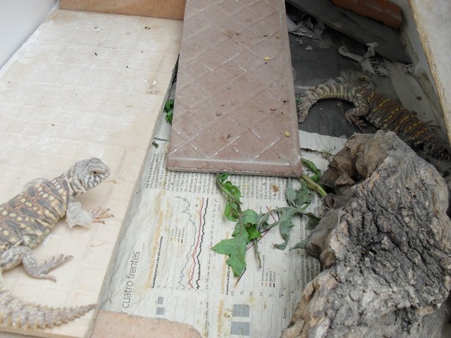 SDC10230 (640x480).jpg