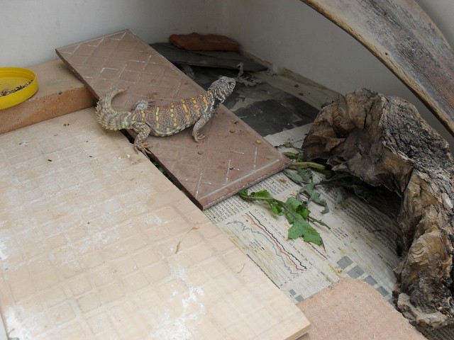 SDC10231 (640x480).jpg