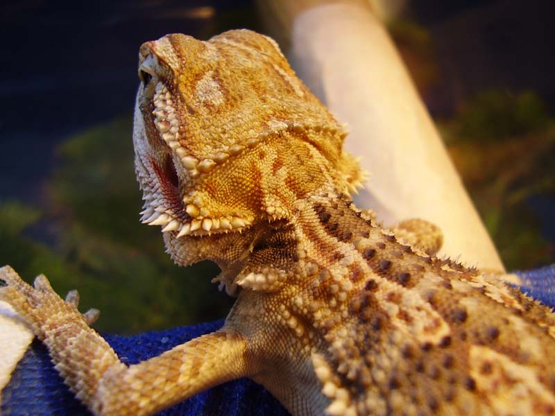 Septiembre2 '05 029 800x600.jpg