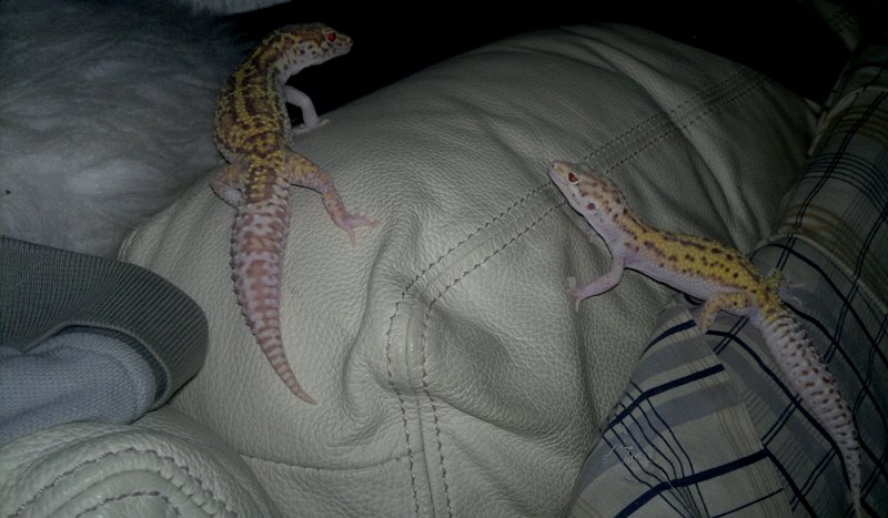 SnRd St x SnRd J_1.jpg