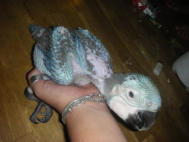 sol! 43902a (102).jpg