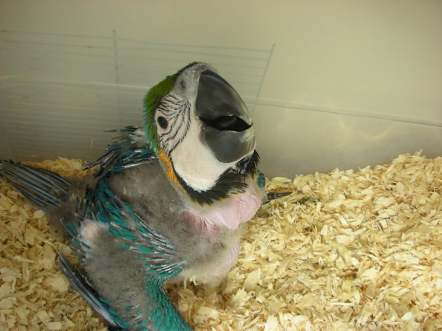 sol! 43902a (160).jpg