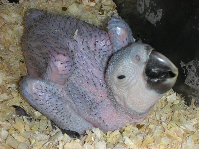 sol! 43902a (35).jpg