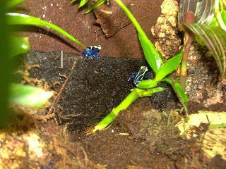 teorica en la academia 017.jpg