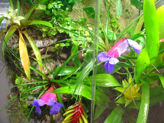 TERRA VENT.JPG 1.JPG