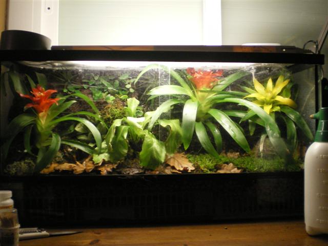Terrari finish mes 001 (Small).jpg