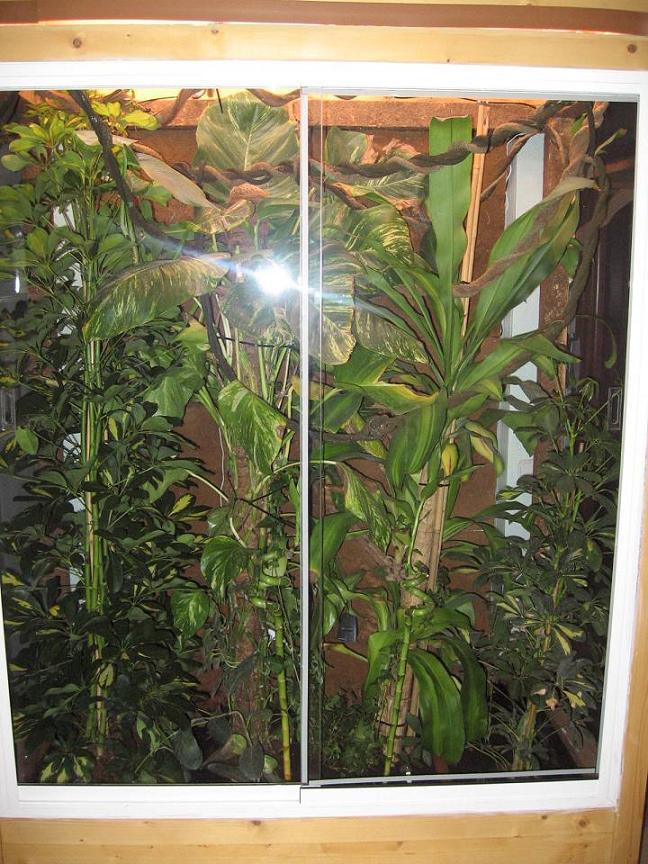 Terrario 001 (20).jpg