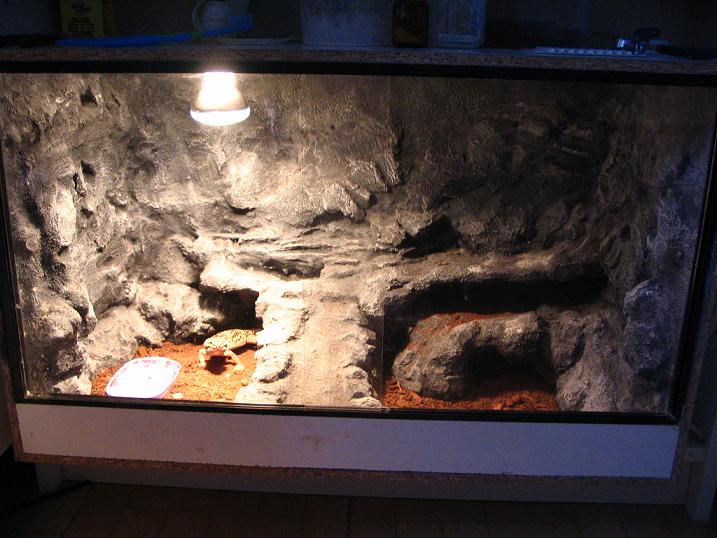 terrario 002.jpg