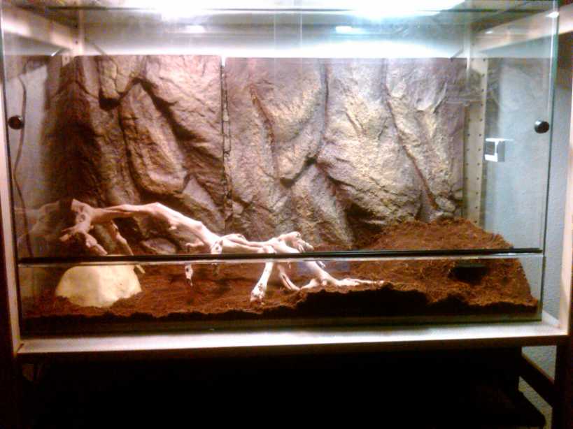 terrario 1_819x614.jpg