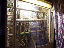 terrario de chlamydosurus.JPG