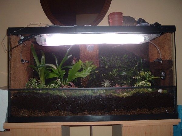 terrario entero (600 x 450).jpg