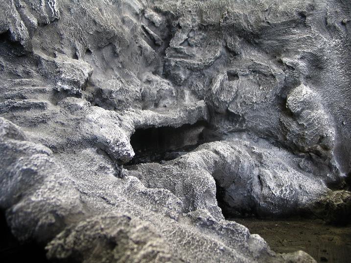 terrario euble 028.jpg