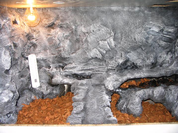 terrario euble 031.jpg