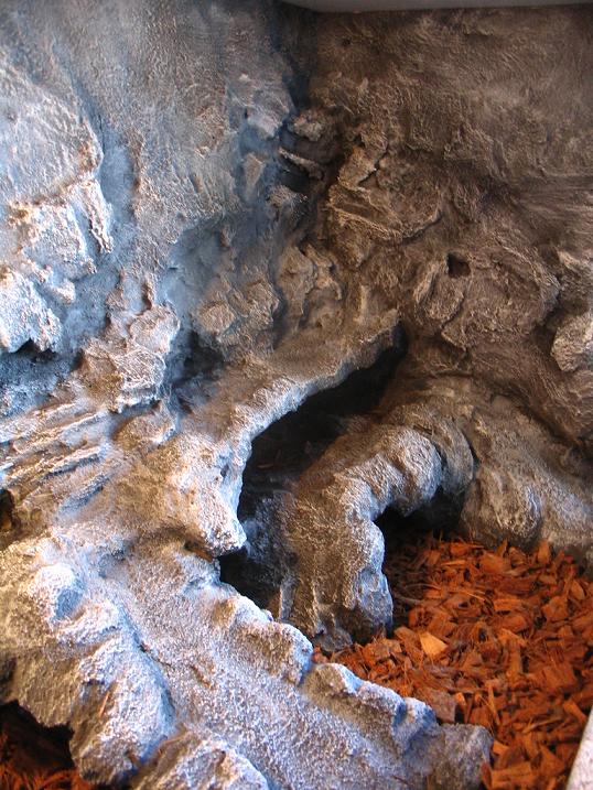 terrario euble 033.jpg