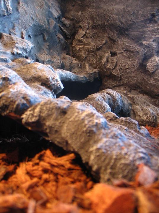 terrario euble 036.jpg