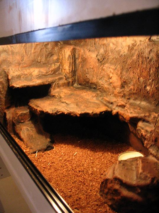 terrario euble 2 004.jpg