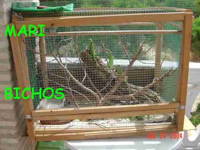 TERRARIO EXTERIOR.jpg