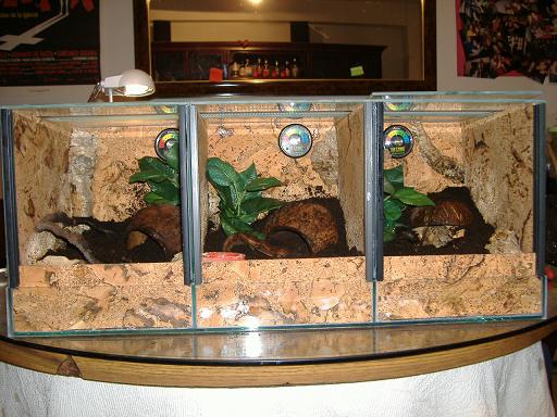 terrario finalizado.JPG