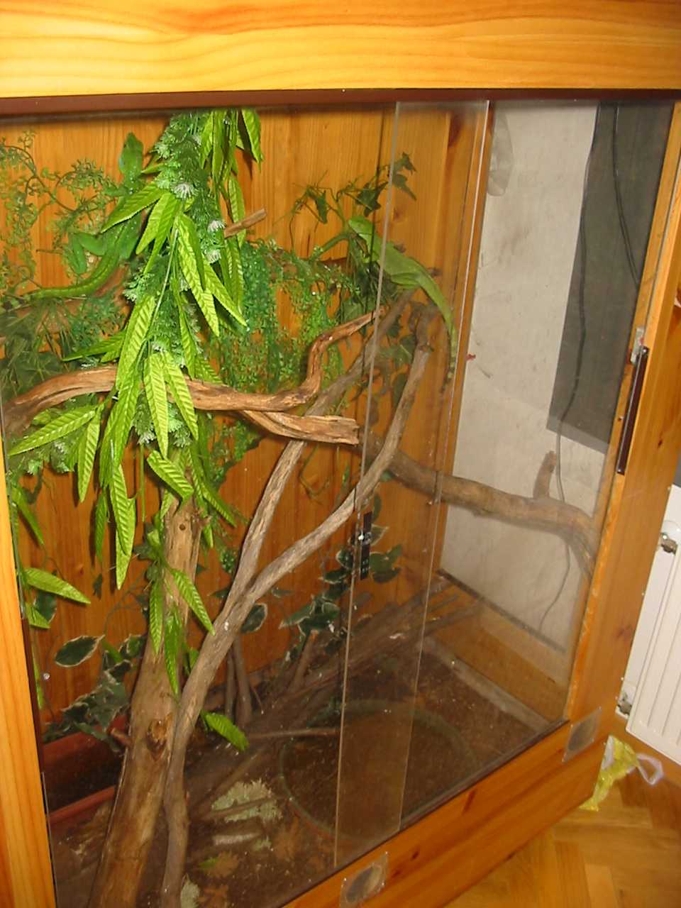 terrario grande.jpg