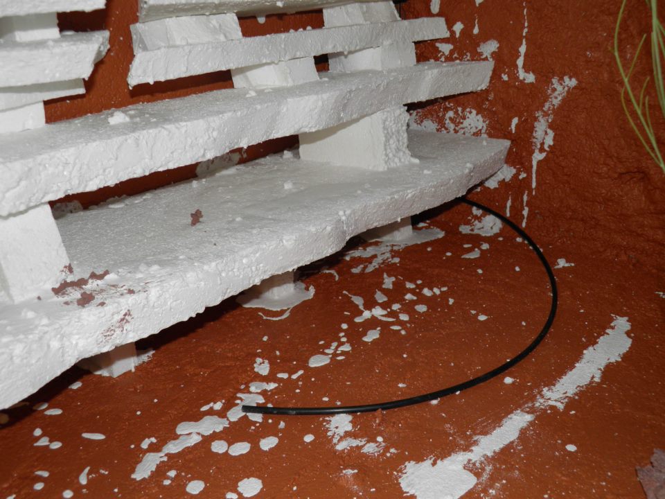 terrario hierros 39.jpg