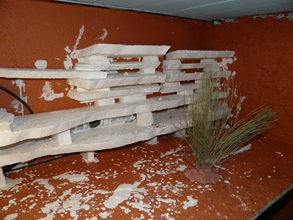 terrario hierros 47.jpg