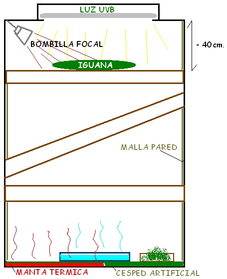 TERRARIO IGUANA.JPG