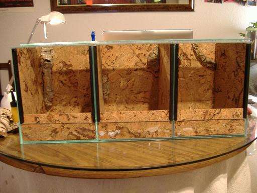 terrario intermedio.JPG