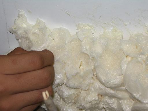 terrario litoria 009.jpg