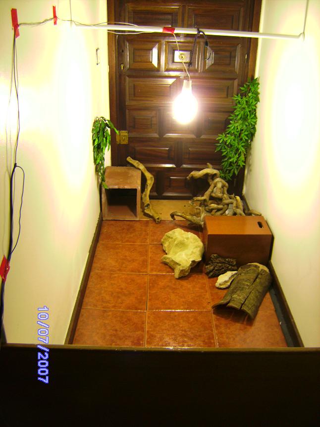 terrario panoramico redu.JPG