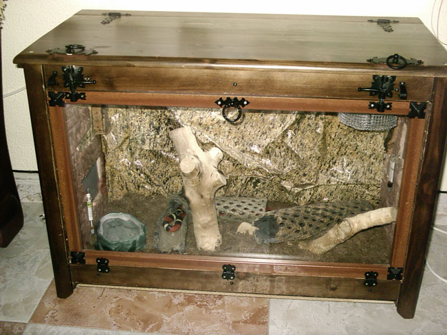 terrario sinaloe.jpg