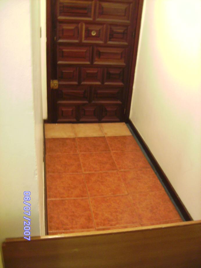 terrario teju 1 redu.JPG