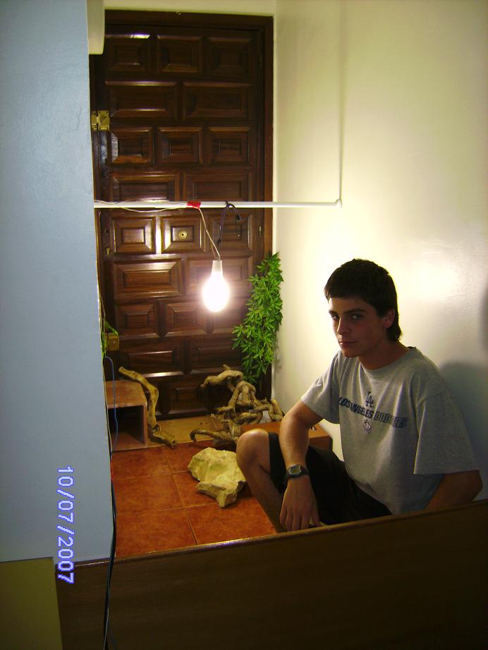 terrario telmo redu.JPG